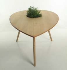 一个种子形状的桌子