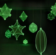 3D打印的微生物奇形灯具