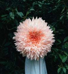 Tiffanie Turner的巨型纸花