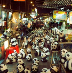 1600 只纸熊猫的世界级巡演