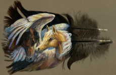 野生火鸡羽毛上创作的动物肖像画