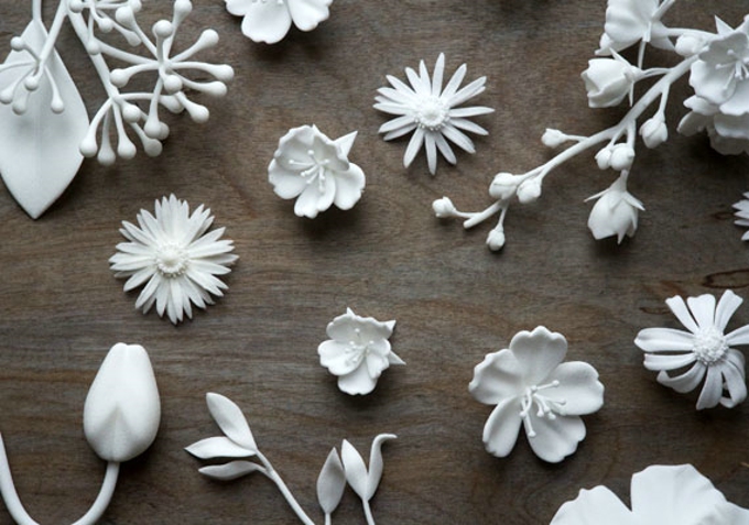 Collected-Edition-flowers-002.jpg
