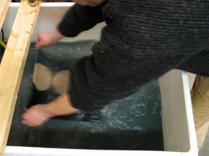 009_Indigo_Dyeing.jpg