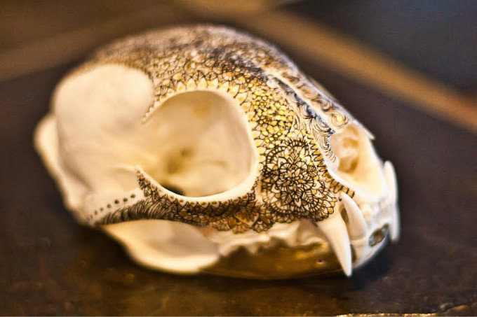 I-transform-skulls-with-golden-mandalas-weaving-art-with-dream-each-animal-is-honoured-5744b2660bd46__880.jpg