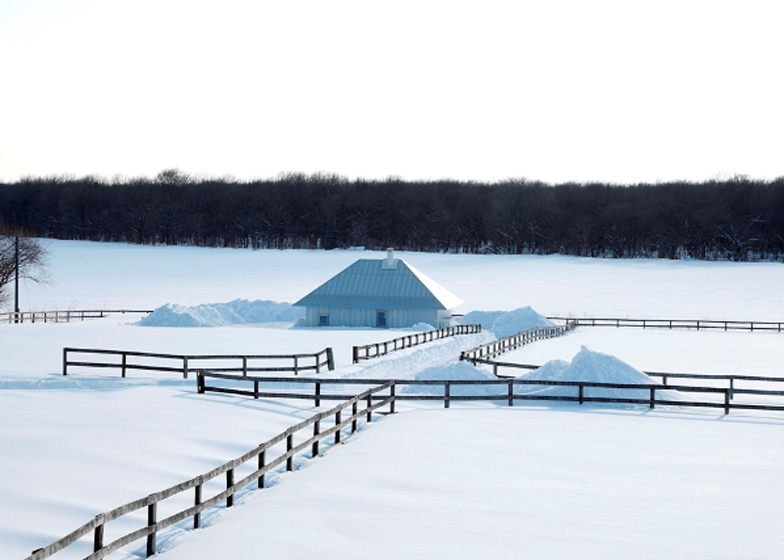 dezeen_Meme-Meadows-Experimental-House-by-Kengo-Kuma-and-Associates_ss9.jpg