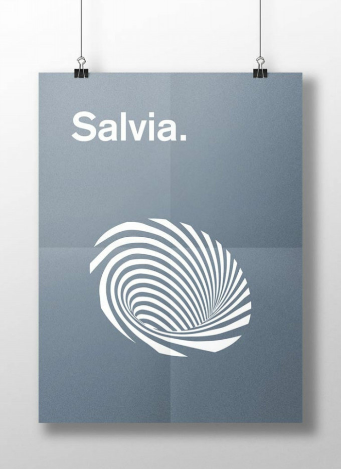 salvia.jpg