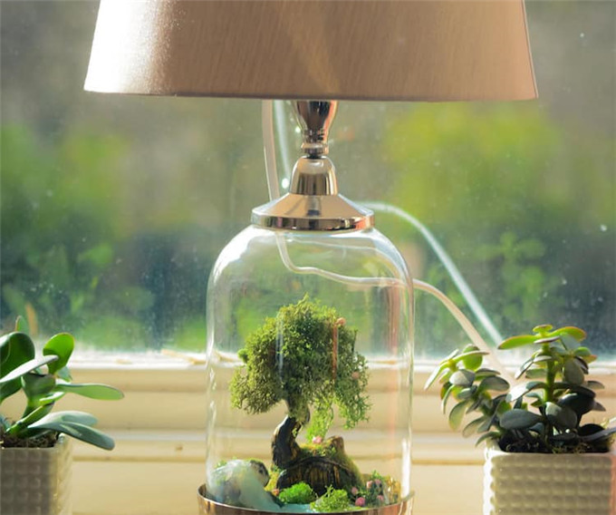 rish-studio-terrarium-lamp-2.jpg