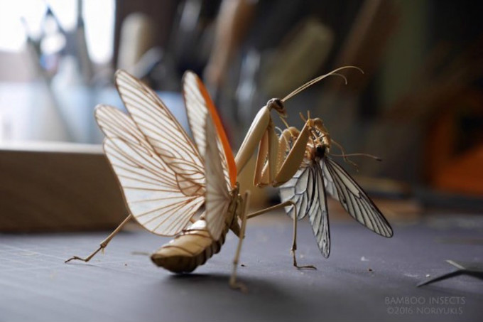 一只蜻蜓的诞生记：岛国匠人将竹编技艺运用到了极致！