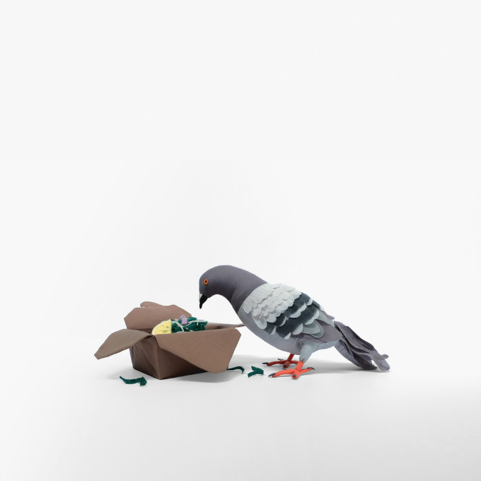 weixintupian_201802131422197.jpg