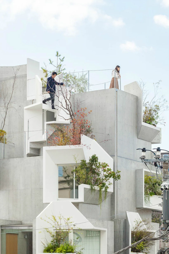 akihisa-hirata-tree-ness-house-otsuka-tokyo-japan-designboom-03.jpg