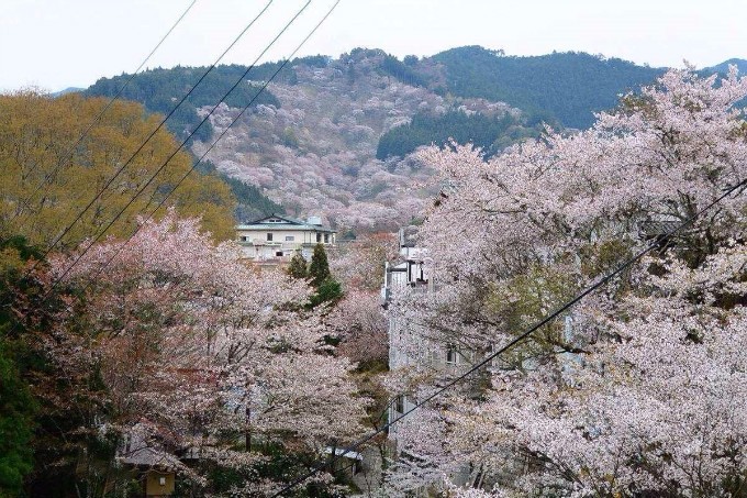 日本夫妇隐居深山十几年，只为设计返璞归真的陶瓷器皿！