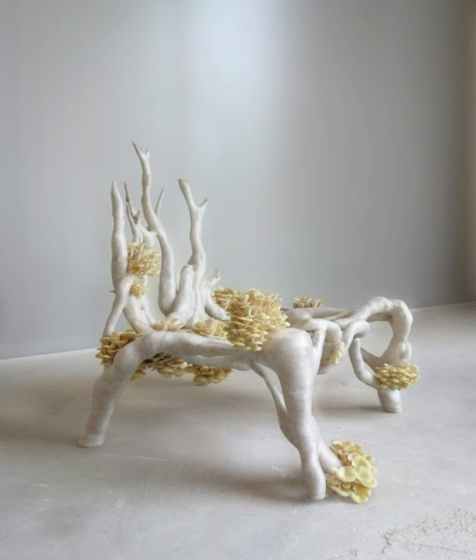 Myceliumchair_Studio_Eric_Klarenbeek-3d-printed-chair-1.jpg