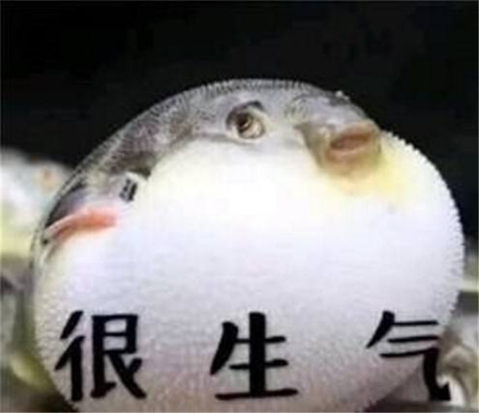 timg.jpg
