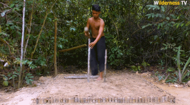 14.gif