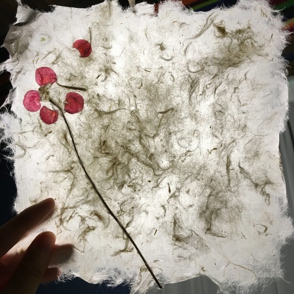 制作一张花草纸，抵挡连日的阴雨天。