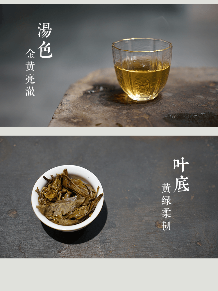 源自冰岛村300年树龄古树，见证普洱茶砖的诞生